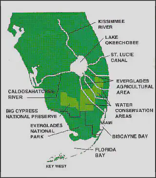 Map of southern Florida showing Lake Okeechobee in the middle, the three water conservation areas highlighted to the south of Lake Okeechobee, and Everglades National Park to the south of the water conservation areas at the southern tip of Florida
